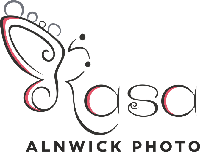 Alnwick Photo av Rasa logotyp