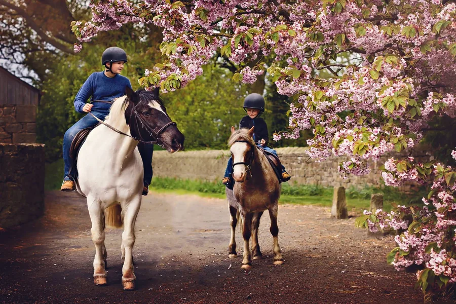Barn rider hästar under vårblommor under utomhusfotografering av Alnwick Photo