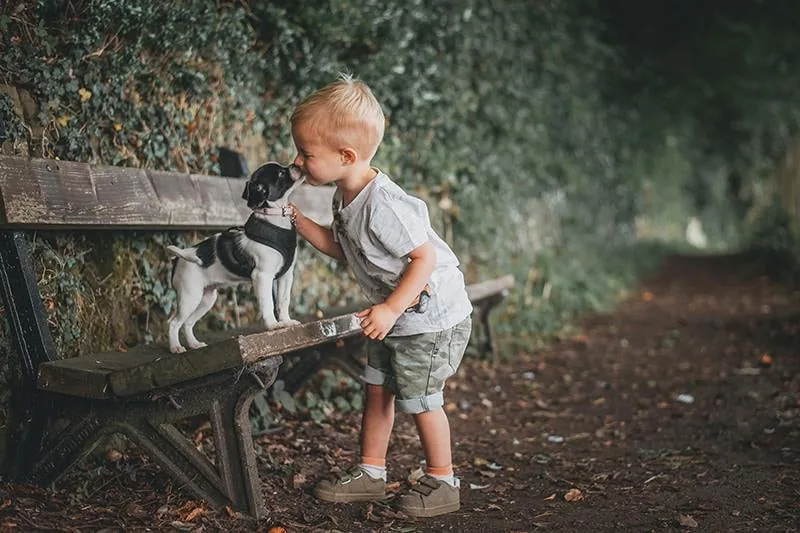 Litet barn som pussar en hund under naturlig barn- och husdjursfotografering av Alnwick Photo